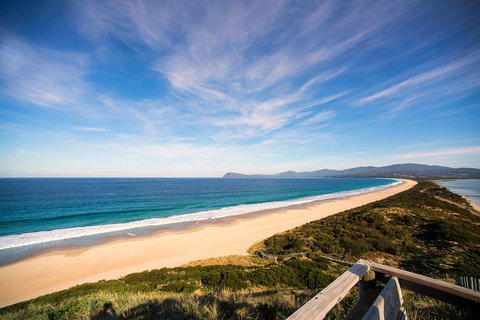 Private Bruny Island Food And Wine Day Trip From Hobart - Food Delivery Shop 1