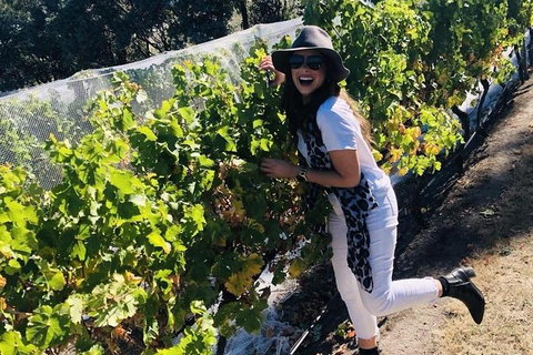 Valleys Of Vino Tour - Food Delivery Shop 1