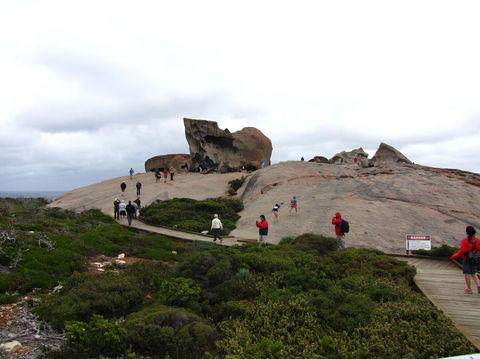 Kangaroo Island In A Day Tour From Adelaide - Food Delivery Shop 21