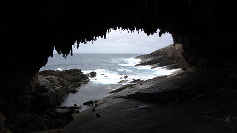 Kangaroo Island In A Day Tour From Adelaide - Food Delivery Shop 20