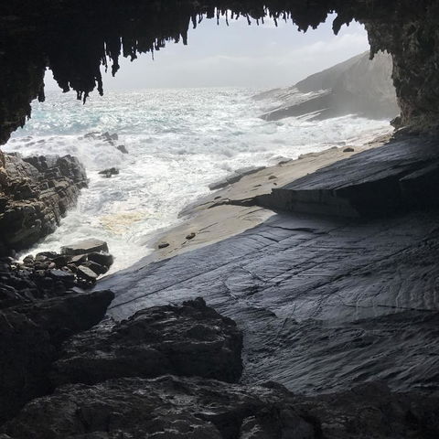 Kangaroo Island In A Day Tour From Adelaide - Food Delivery Shop 5