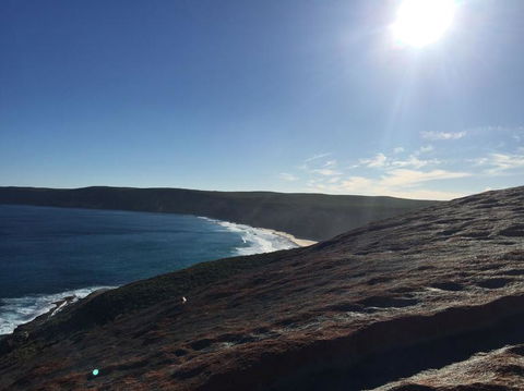 Kangaroo Island In A Day Tour From Adelaide - Food Delivery Shop 17
