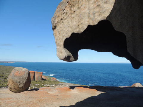Kangaroo Island In A Day Tour From Adelaide - Food Delivery Shop 13