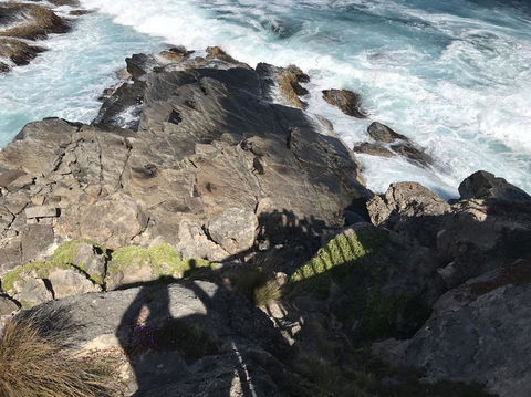 Kangaroo Island In A Day Tour From Adelaide - Food Delivery Shop 3