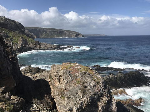 Kangaroo Island In A Day Tour From Adelaide - Food Delivery Shop 4