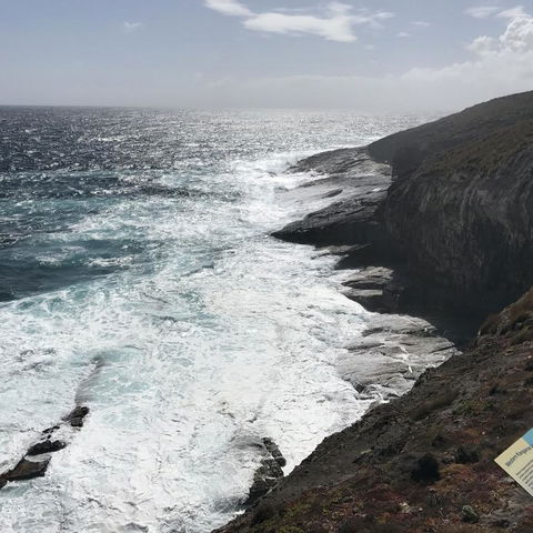 Kangaroo Island In A Day Tour From Adelaide - Food Delivery Shop 6