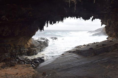 Kangaroo Island In A Day Tour From Adelaide - Food Delivery Shop 18