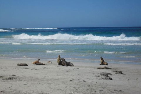 Kangaroo Island In A Day Tour From Adelaide - Food Delivery Shop 26