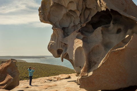 Kangaroo Island In A Day Tour From Adelaide - Food Delivery Shop 30