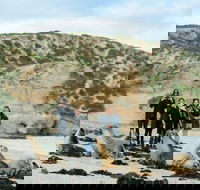 Small-Group Kangaroo Island 4WD Tour from Adelaide - Food Delivery Shop