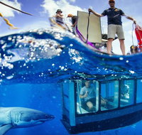 White Shark Tour with Optional Cage Dive from Port Lincoln - Food Delivery Shop