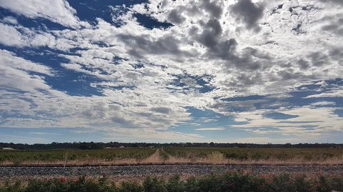 Barossa Valley Full-Day Tour From Adelaide With Maggie Beer Farm - Food Delivery Shop 3