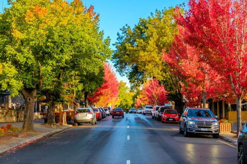 Barossa Valley Full-Day Tour From Adelaide With Maggie Beer Farm - Food Delivery Shop 6