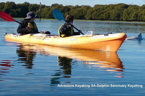 Adelaide Dolphin Sanctuary And Ships Graveyard Kayak Tour - Food Delivery Shop 0