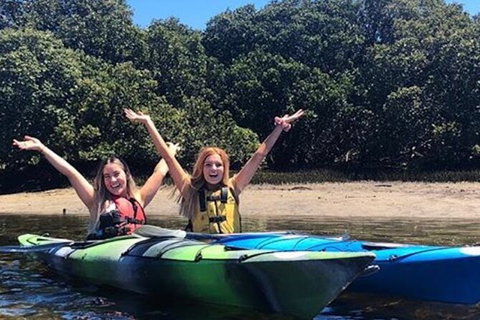 Adelaide Dolphin Sanctuary And Ships Graveyard Kayak Tour - Food Delivery Shop 4