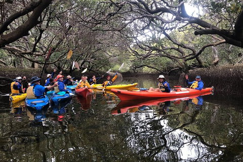 Adelaide Dolphin Sanctuary And Ships Graveyard Kayak Tour - Food Delivery Shop 10