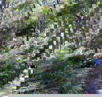 Self-Guided Waterfall Gully to Mount Lofty Hike from Adelaide - Food Delivery Shop