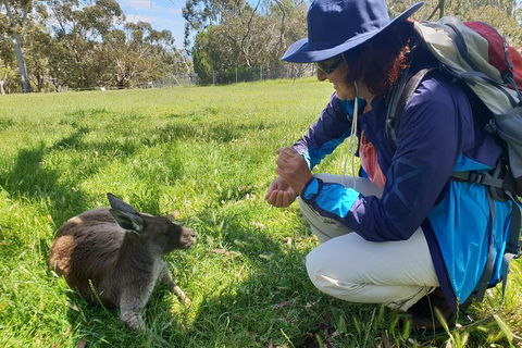 Mount Lofty Hike And Cleland Wildlife Park Day Trip From Adelaide - Food Delivery Shop 1