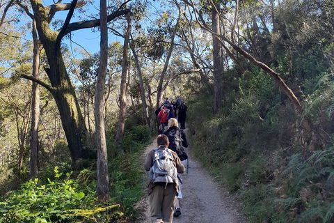 Mount Lofty Hike And Cleland Wildlife Park Day Trip From Adelaide - Food Delivery Shop 2