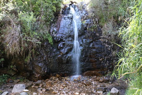 Mount Lofty Hike And Cleland Wildlife Park Day Trip From Adelaide - Food Delivery Shop 7