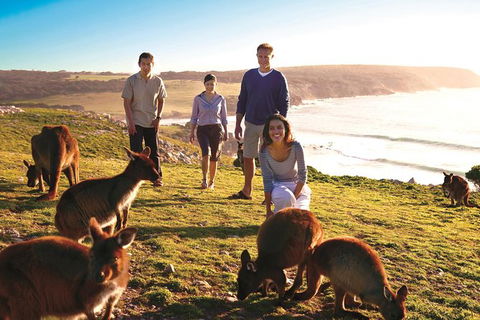 5-Day Adelaide And Kangaroo Island Tour Including Barossa Valley Wine Tasting - Food Delivery Shop 0