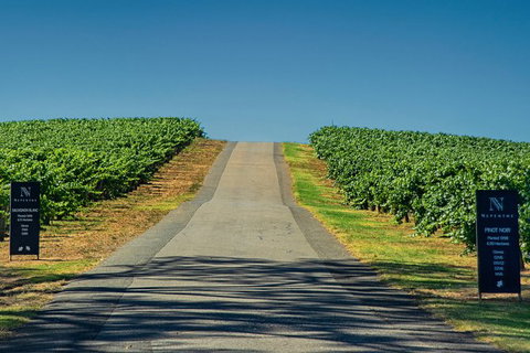 Small Group Adelaide Hills And Hahndorf Hideaway Tour From Adelaide - Food Delivery Shop 3