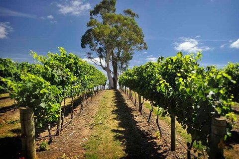 Small Group Adelaide Hills And Hahndorf Hideaway Tour From Adelaide - Food Delivery Shop 5