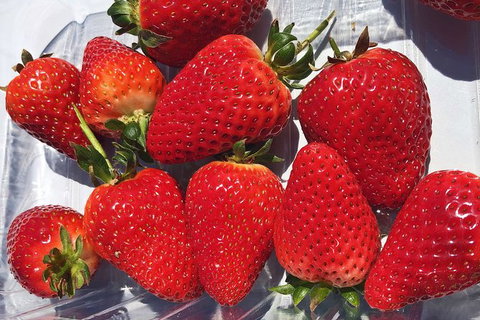 Small Group Adelaide Hills And Hahndorf Hideaway Tour From Adelaide - Food Delivery Shop 11