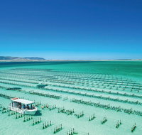 Coffin Bay Private Day Tour from Port Lincoln - A Taste of Coffin Bay - Food Delivery Shop