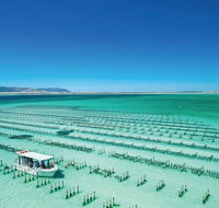 Coffin Bay Day Tour - A Taste of Coffin Bay - Food Delivery Shop