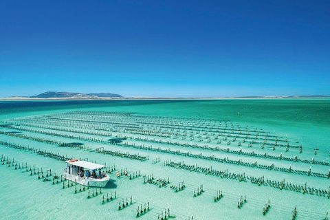 Coffin Bay Day Tour - A Taste Of Coffin Bay - Food Delivery Shop 0