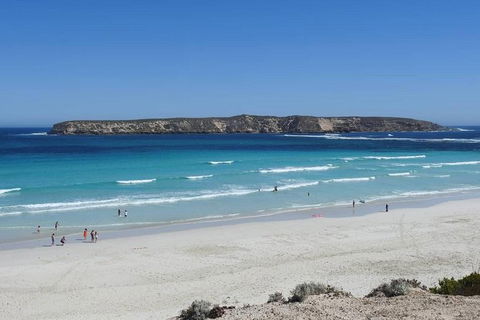 Coffin Bay Day Tour - A Taste Of Coffin Bay - Food Delivery Shop 12