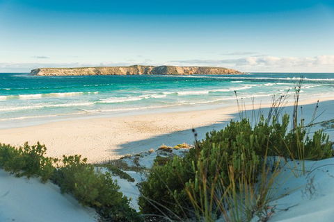 Coffin Bay Day Tour - A Taste Of Coffin Bay - Food Delivery Shop 13