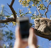 Exceptional Port Lincoln Seafood and Wildlife Tour - Food Delivery Shop
