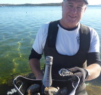 Oyster Farm and Tasting Tour with Hotel Pick-up and return from Port Lincoln - Food Delivery Shop
