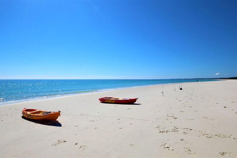 Fraser Island West Coast BBQ Lunch Cruise From Hervey Bay Including Kayaking And Swimming - Food Delivery Shop 8