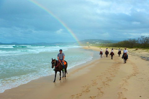 Rainbow Beach Horse Ride - Food Delivery Shop 0