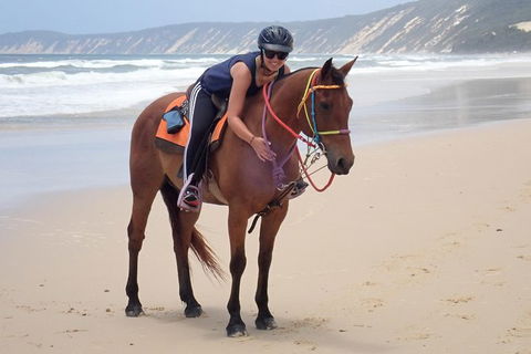 Rainbow Beach Horse Ride - Food Delivery Shop 2
