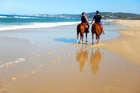 Rainbow Beach Horse Ride - Food Delivery Shop 3