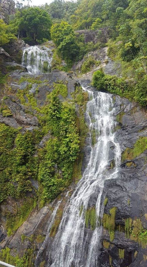 Kuranda Full-Day Small-Group Tour From Port Douglas - Food Delivery Shop 4