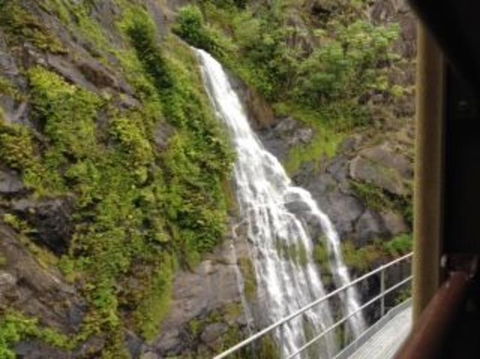 Kuranda Full-Day Small-Group Tour From Port Douglas - Food Delivery Shop 7