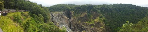 Kuranda Full-Day Small-Group Tour From Port Douglas - Food Delivery Shop 3