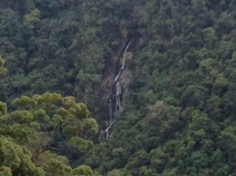 Kuranda Full-Day Small-Group Tour From Port Douglas - Food Delivery Shop 9
