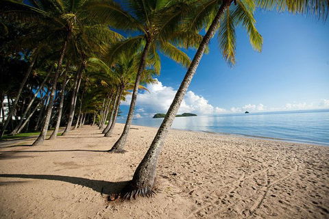 Kuranda Full-Day Small-Group Tour From Port Douglas - Food Delivery Shop 17
