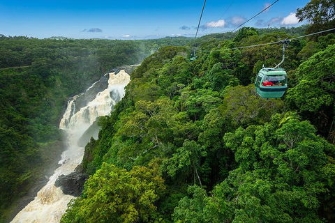 Kuranda Full-Day Small-Group Tour From Port Douglas - Food Delivery Shop 13
