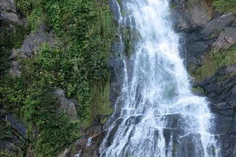 Kuranda Full-Day Small-Group Tour From Port Douglas - Food Delivery Shop 14