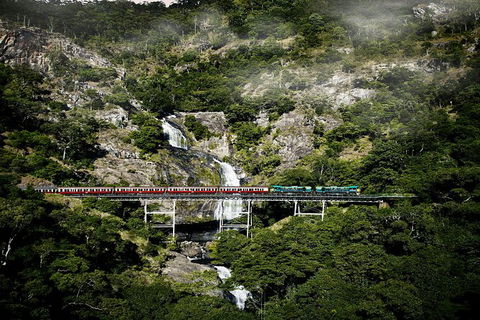 Kuranda Full-Day Small-Group Tour From Port Douglas - Food Delivery Shop 16