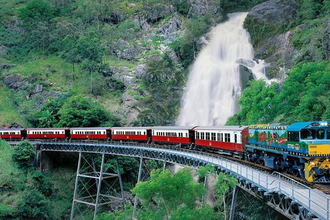 Kuranda Full-Day Small-Group Tour From Port Douglas - Food Delivery Shop 11