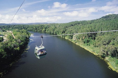 Kuranda Full-Day Small-Group Tour From Port Douglas - Food Delivery Shop 12