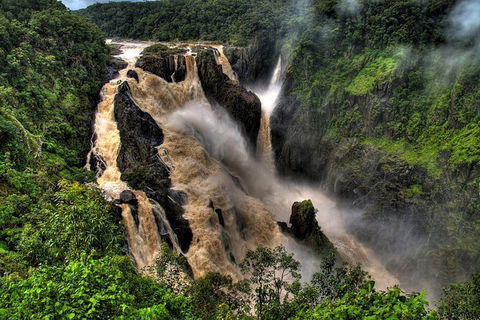 Kuranda Full-Day Small-Group Tour From Port Douglas - Food Delivery Shop 19